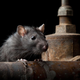 Imagen: iStock